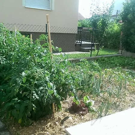 Barisic Appartement *